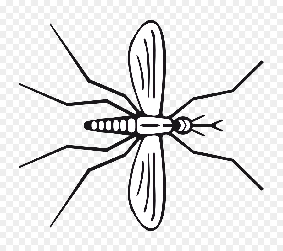 Mosquito，Los Insectos PNG