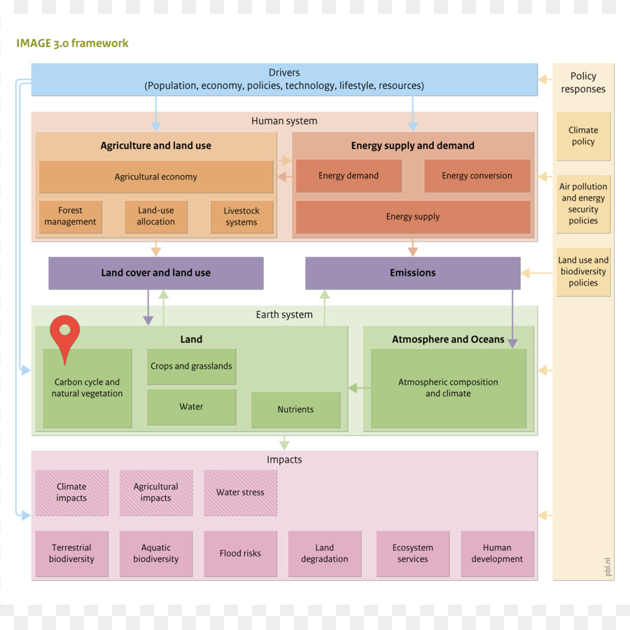 Servicios De Ecosistema，Ganado PNG