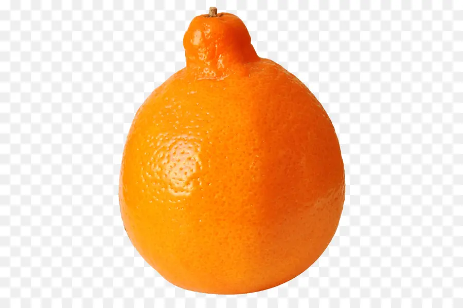 Clementine，Tangelo PNG