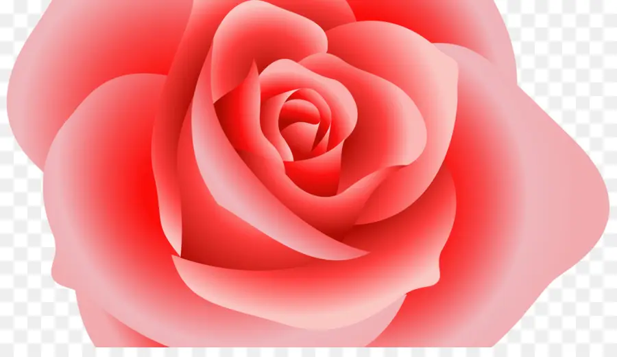 Rosa，Fondo De Escritorio PNG