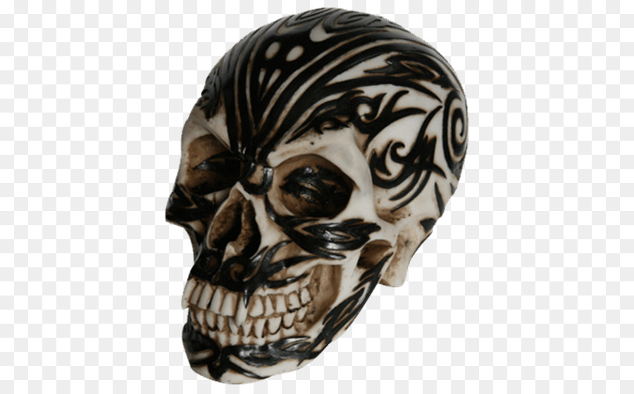 Cráneo，Estatua PNG