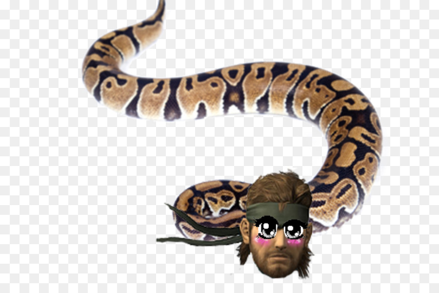 La Serpiente，Cc Moore Co PNG