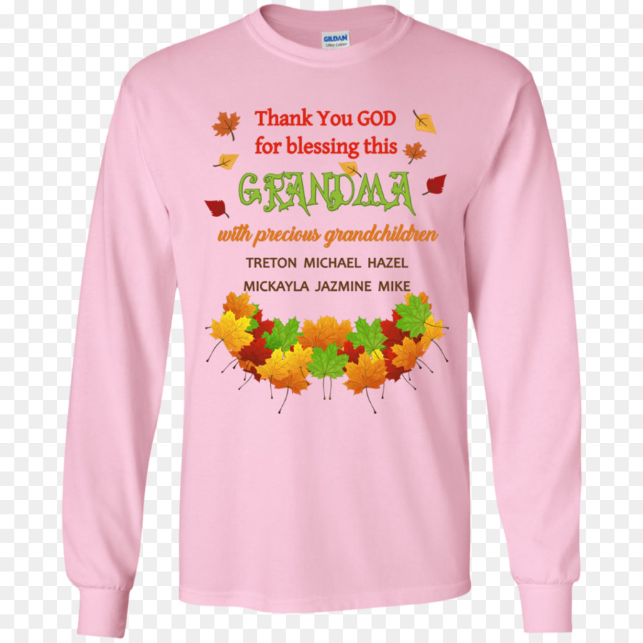 Camiseta，Sudadera Con Capucha PNG