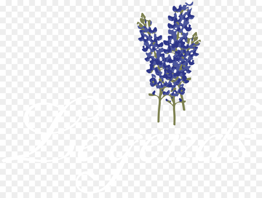 Lavanda，Joyería PNG