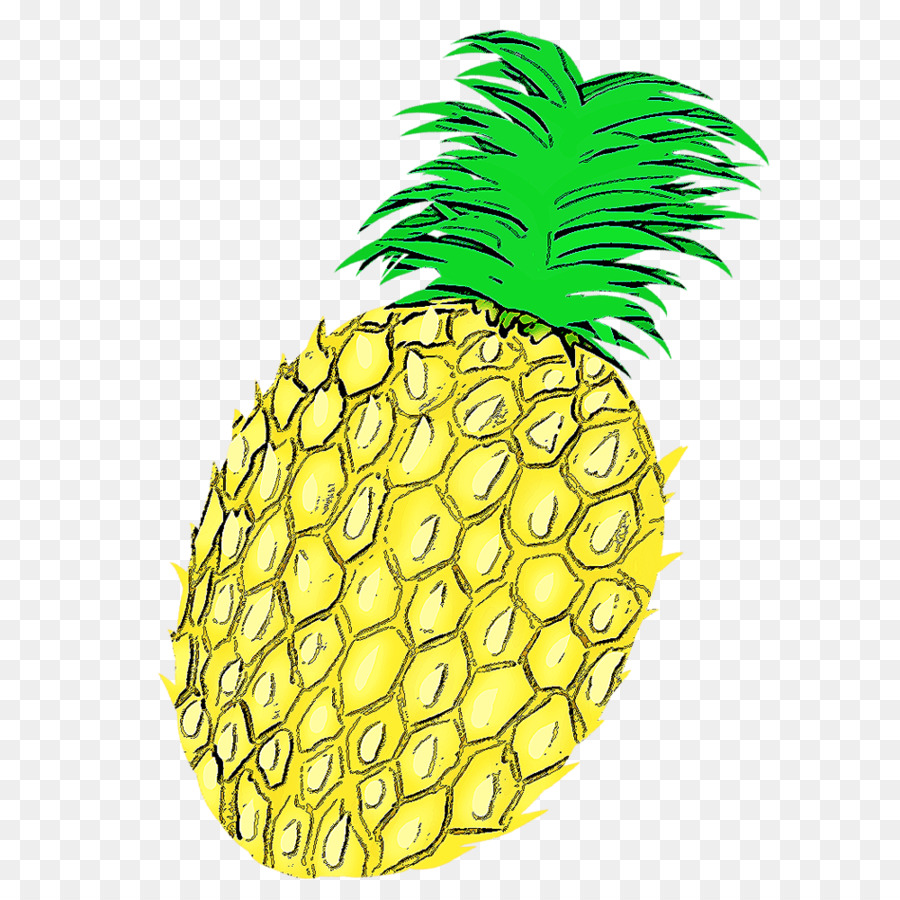 Piña，Dibujo PNG