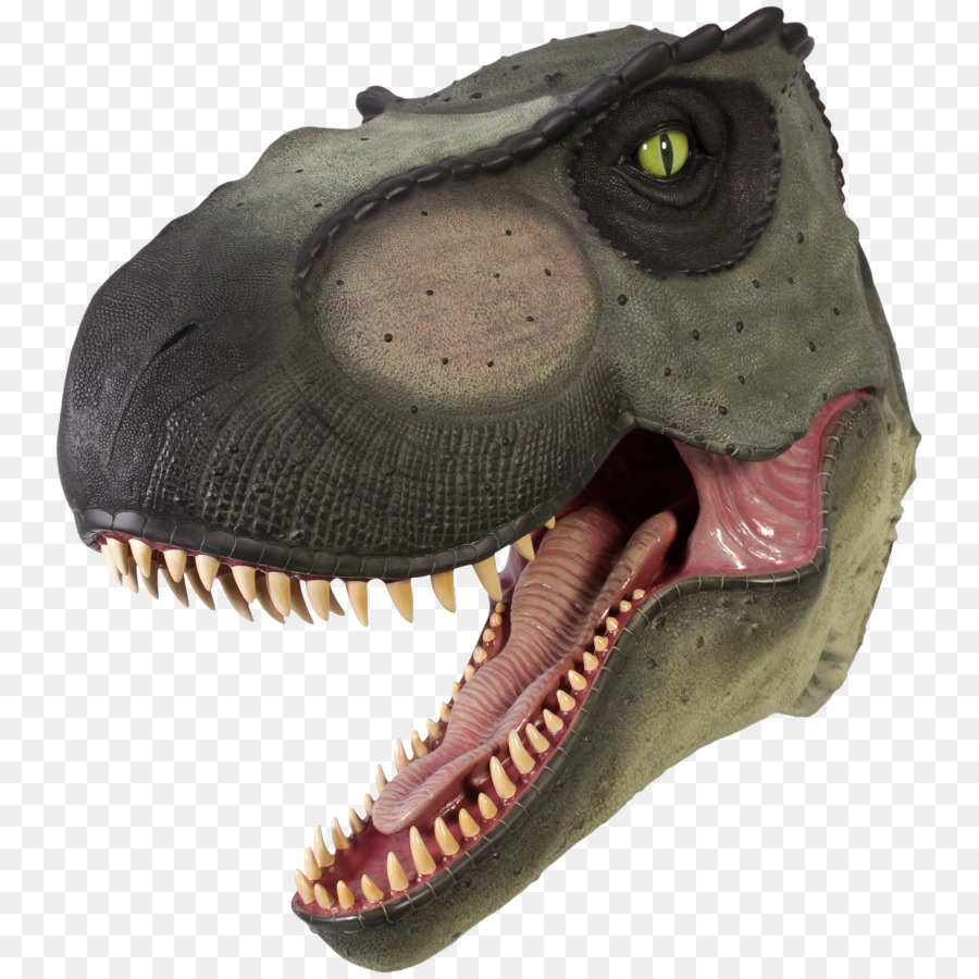 Dinosaurio，Dientes PNG