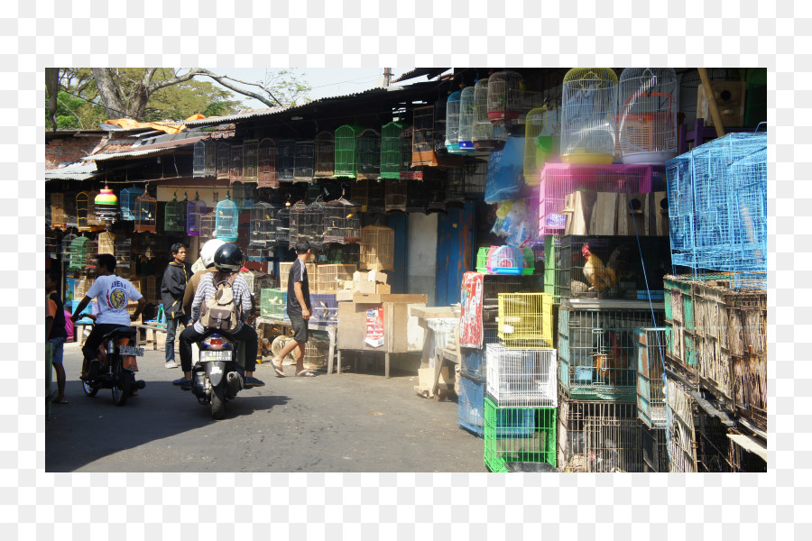 La Comida De La Calle，Bazar PNG