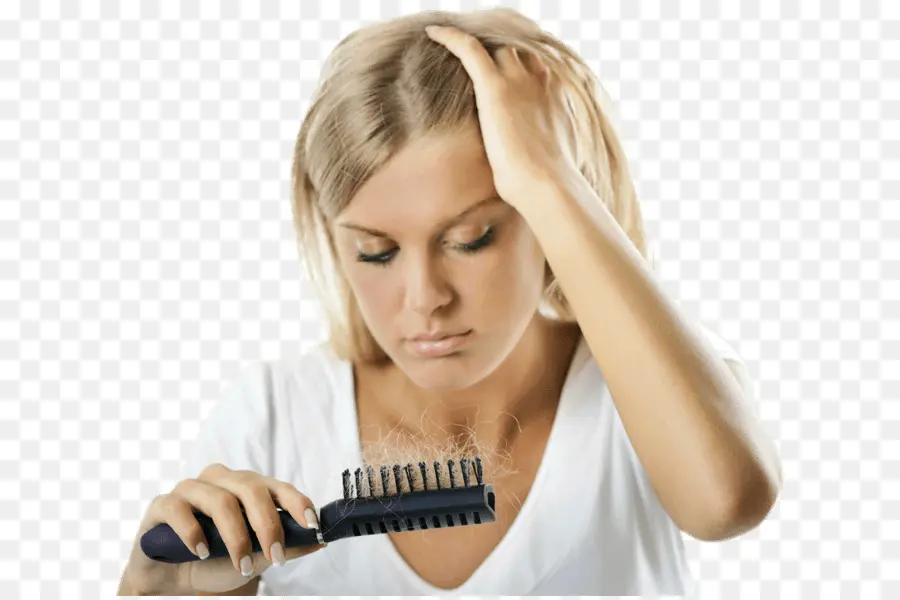 La Pérdida De Cabello，Cabello PNG