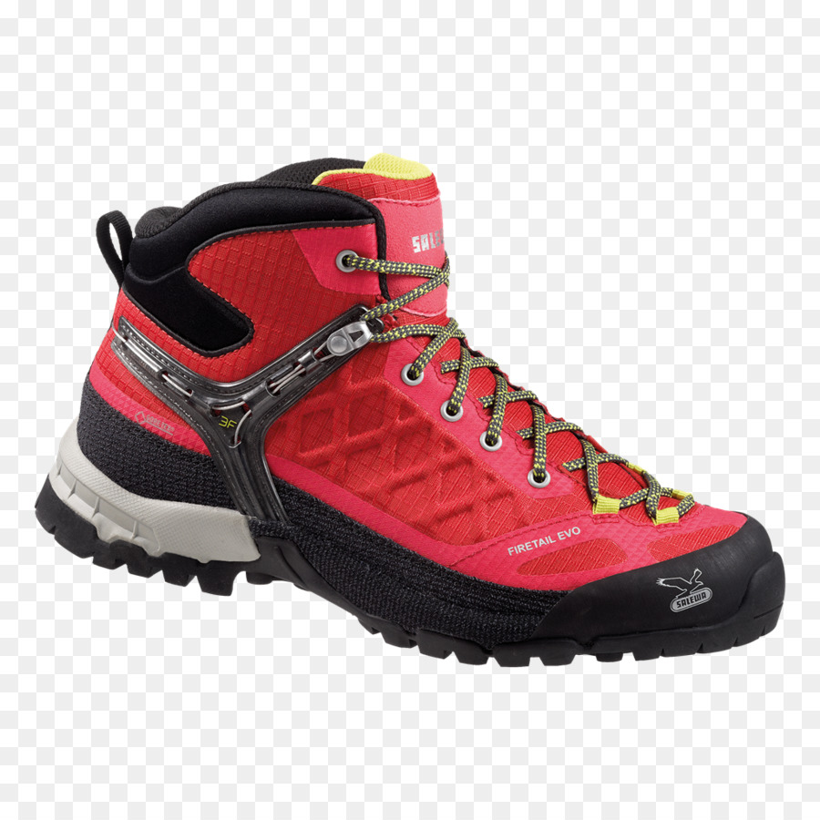 Goretex，Zapato PNG