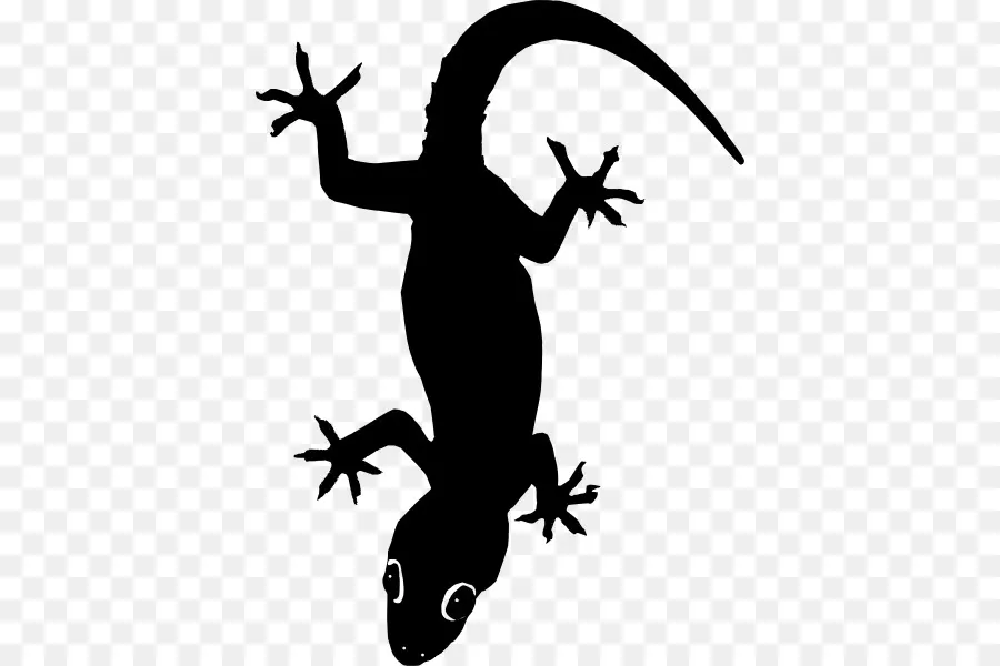 Lagarto，Gecko PNG