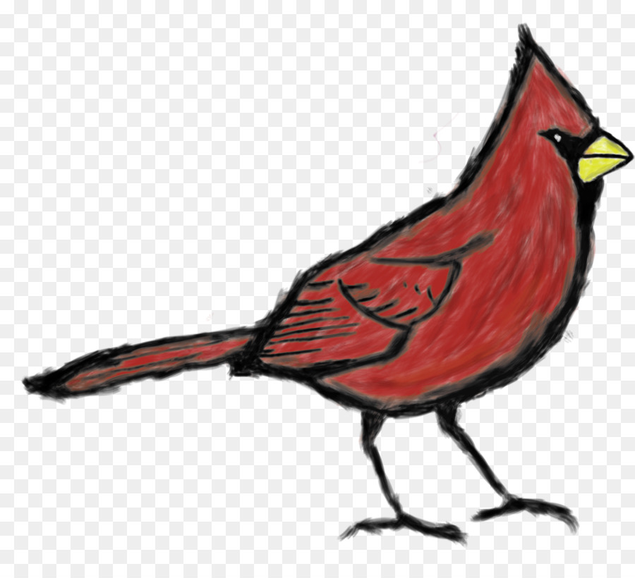 St Louis Cardinals，Cardenales De Arizona PNG