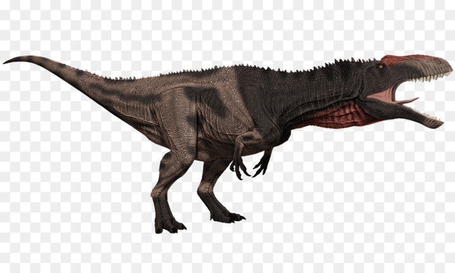 Tyrannosaurus，Acrocanthosaurus PNG