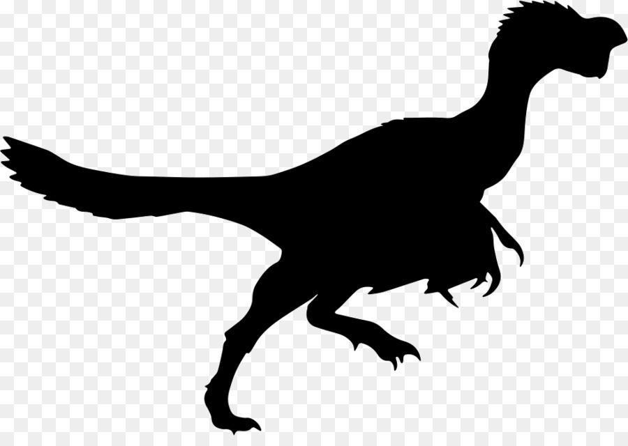 Citipati，Tyrannosaurus PNG