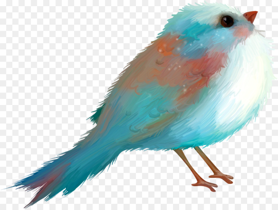 Pájaro，Azul PNG