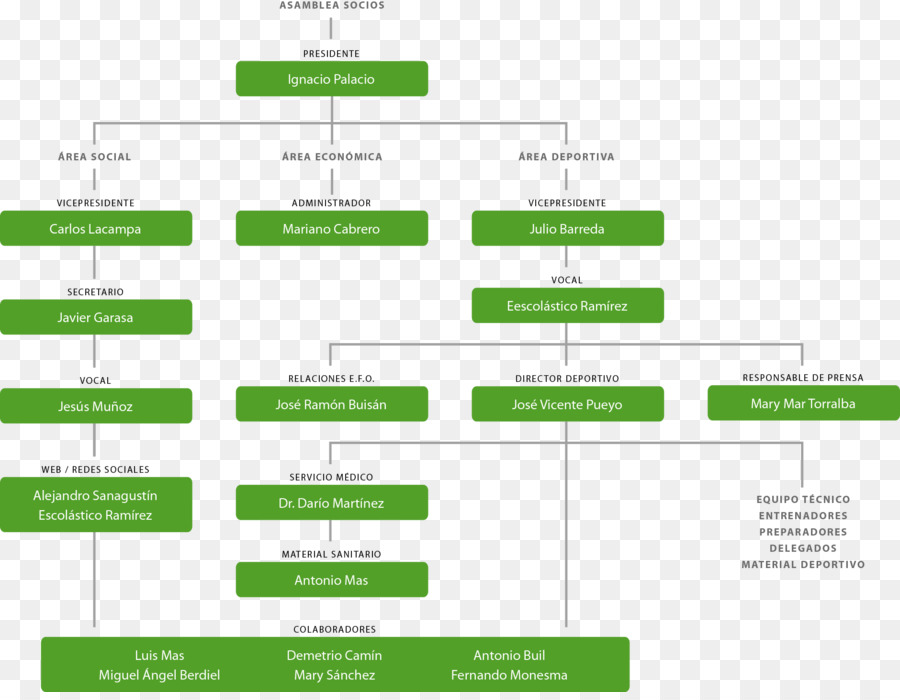 Árbol Genealógico，Genealogía PNG