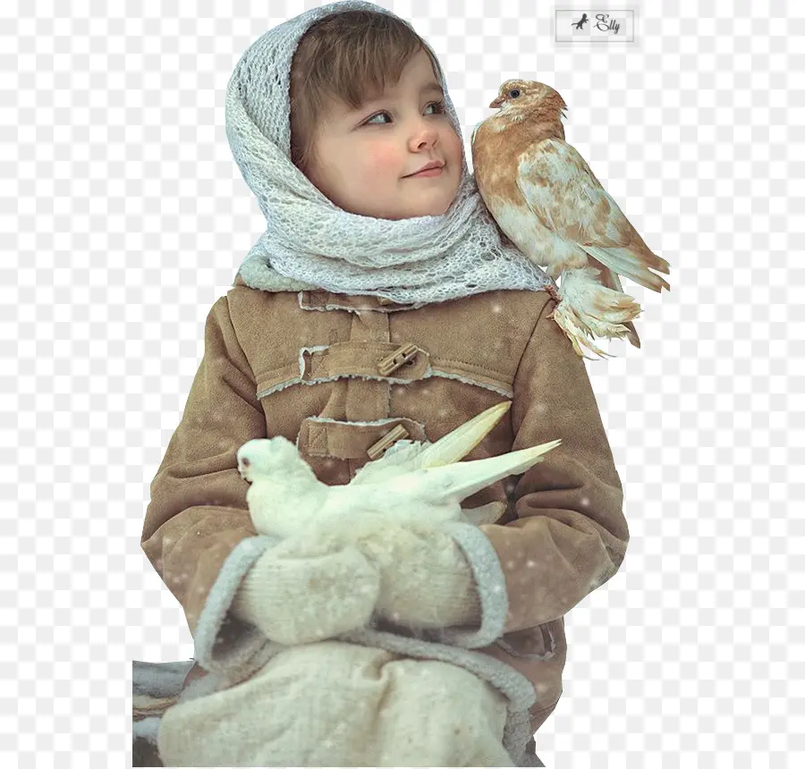 Niño Con Pájaros，Aves PNG