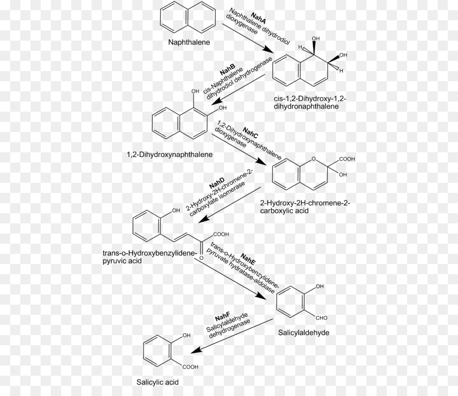 Naftaleno，Hidrocarburos Aromáticos Policíclicos PNG