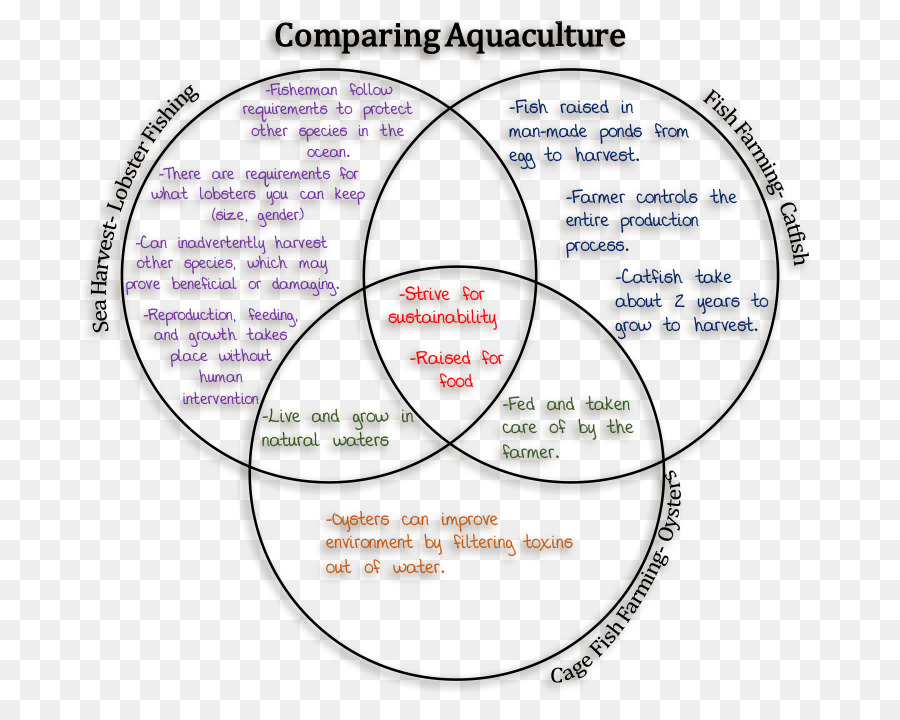 Comparación De Acuicultura，Diagrama De Venn PNG