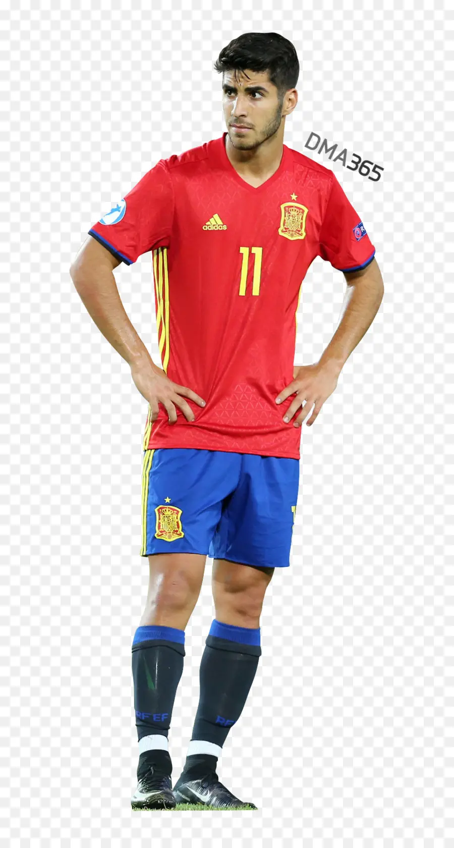 Marco Asensio，Jersey PNG