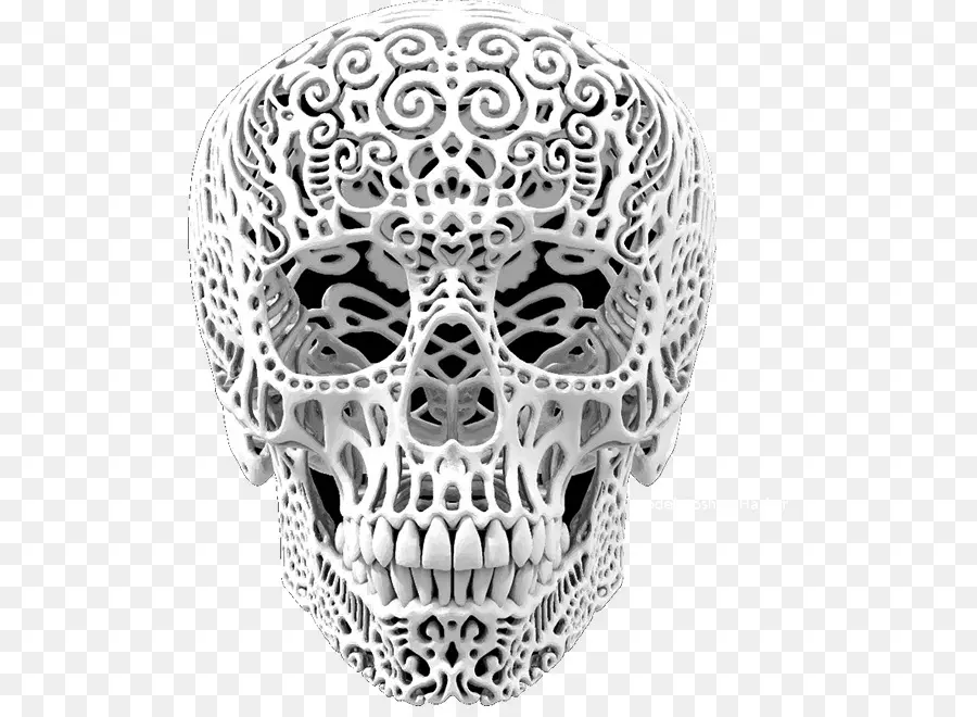 Calavera Blanca，Esqueleto PNG