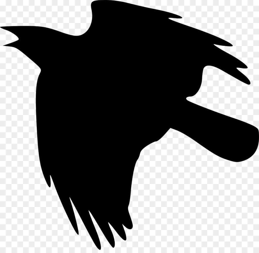 Cuervo，Raven Común PNG