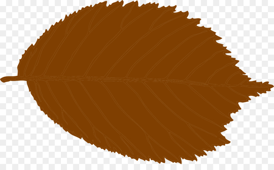 Hoja De Naranja，Otoño PNG