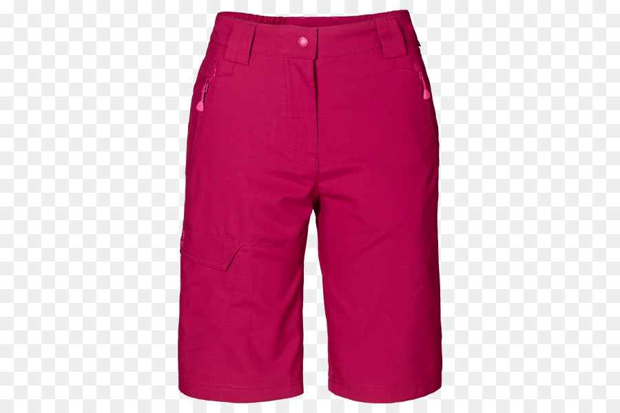 Bermudas，Pantalones Cortos PNG