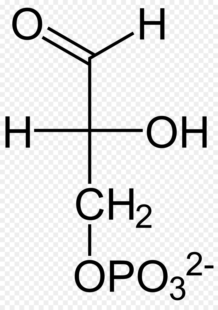 El ácido Pirúvico，La Química PNG