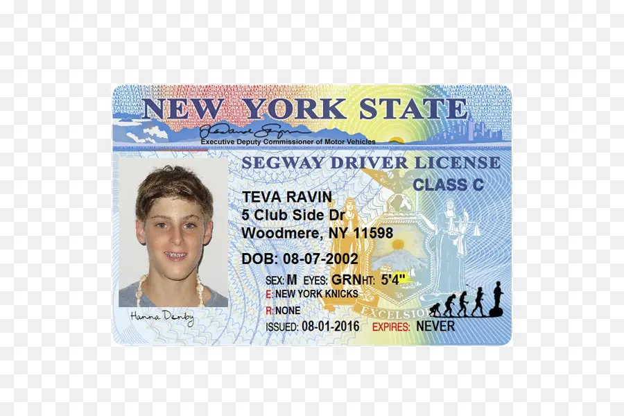 Licencia De Conducir，Nueva York PNG