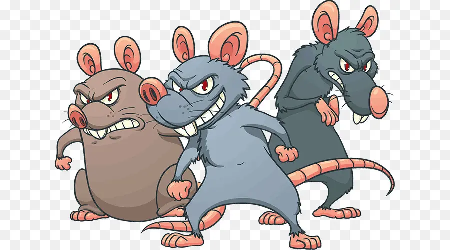 Ratas De Dibujos Animados，Roedor PNG