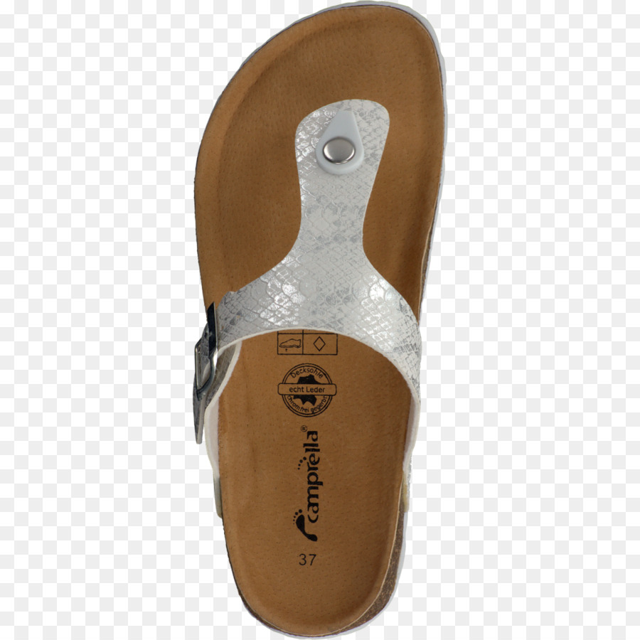 Zapato，Flipflops PNG