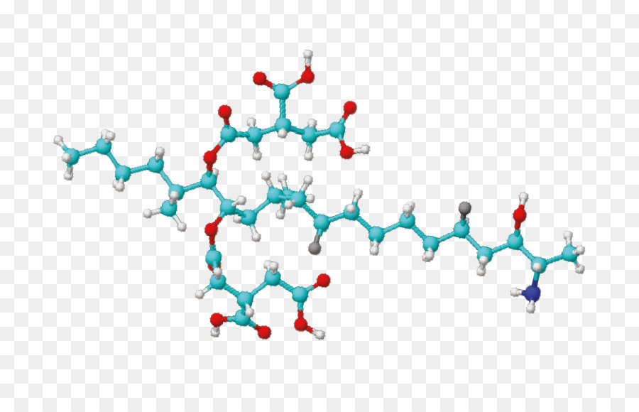 Estructura Molecular，Molécula PNG