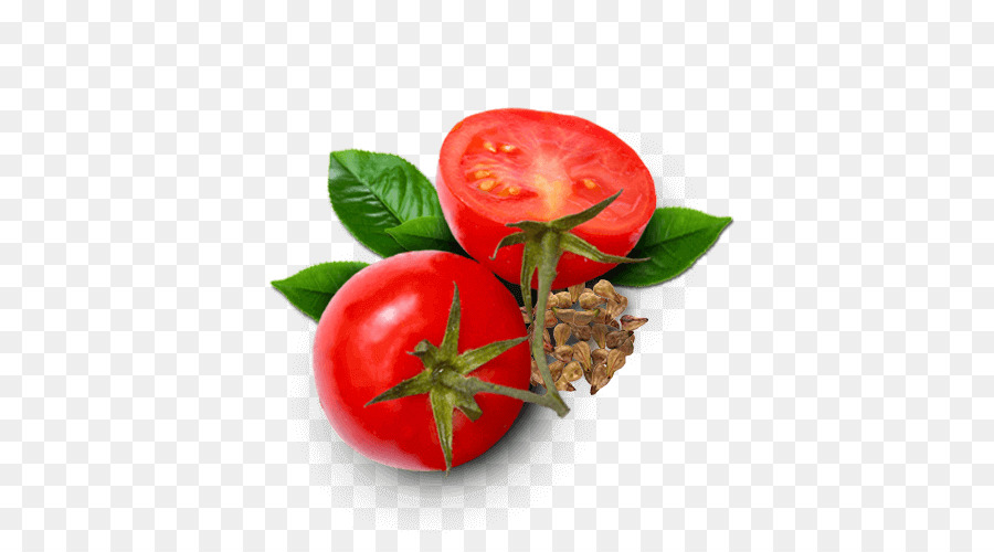 Tomate，Sodebo Sa PNG