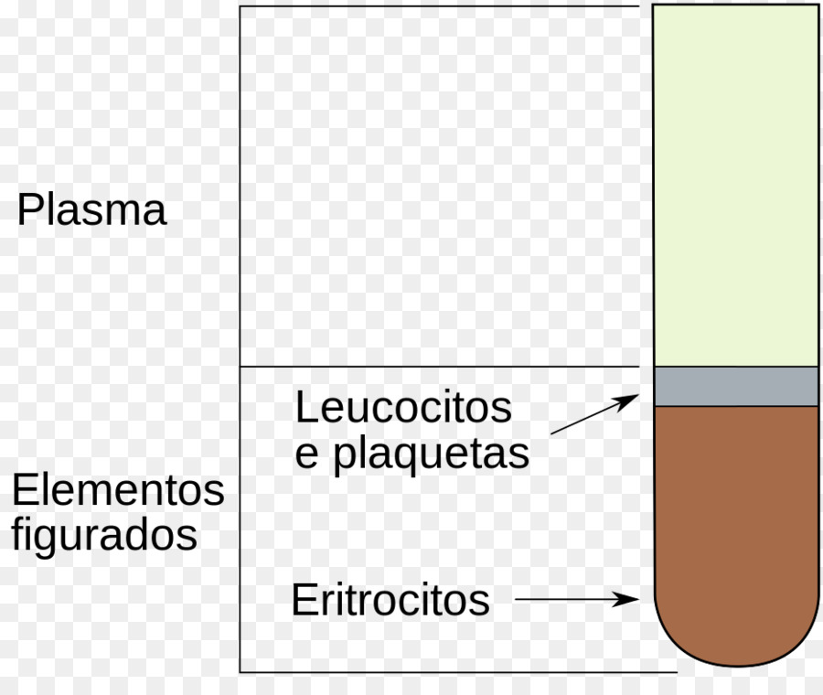 Hematocrito，Células De La Sangre PNG