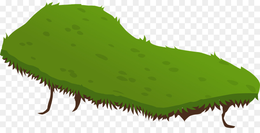 Verde，Paisaje PNG