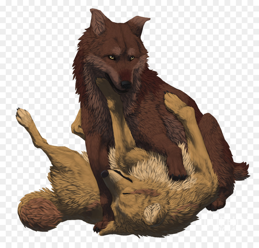 Canidae，Perro PNG