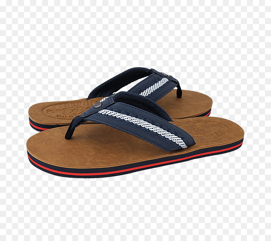 Flipflops，Zapatilla PNG