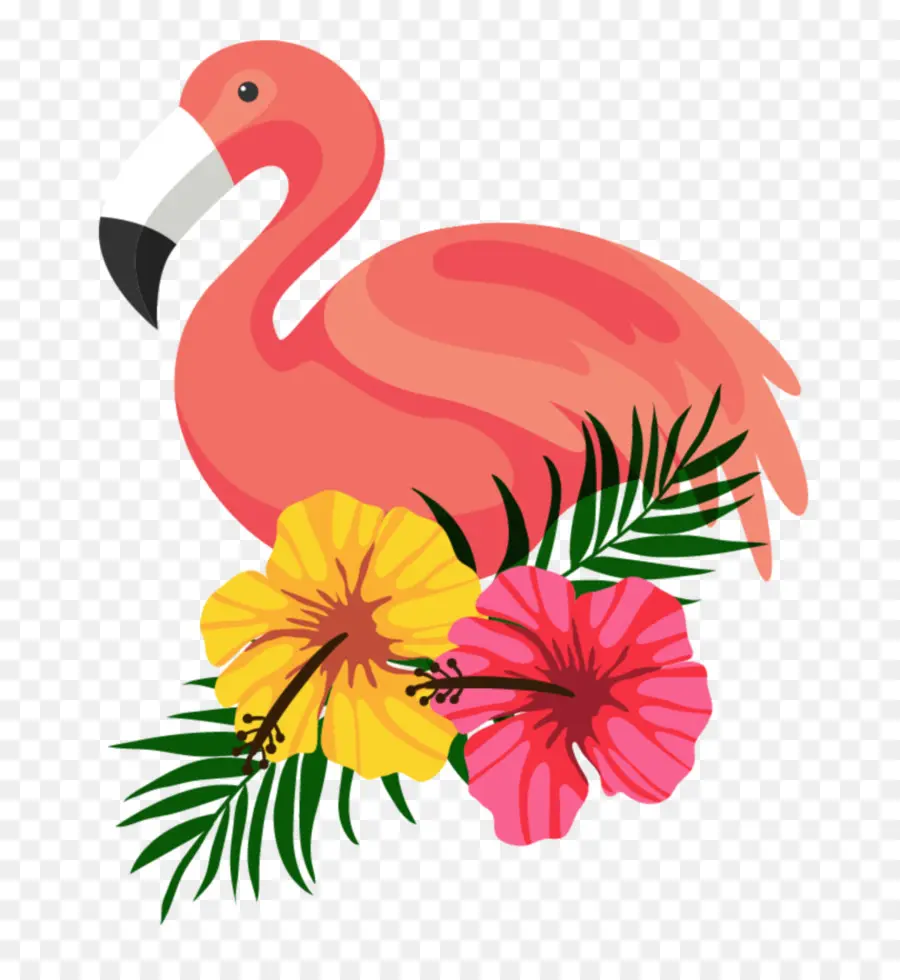 Flamingo，Postscript Encapsulado PNG