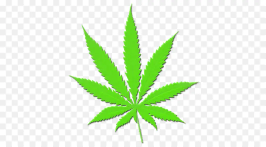 Cannabis Sativa，El Cannabis PNG