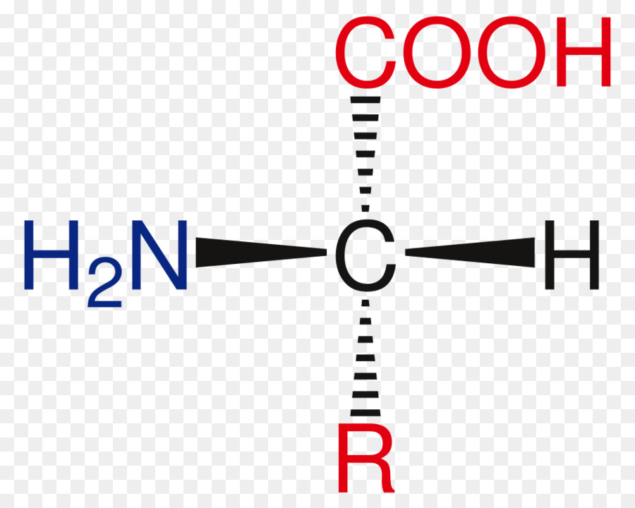 Estructura Química，Molécula PNG