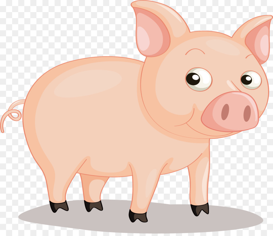 Cerdo Doméstico，Zodiaco Chino PNG