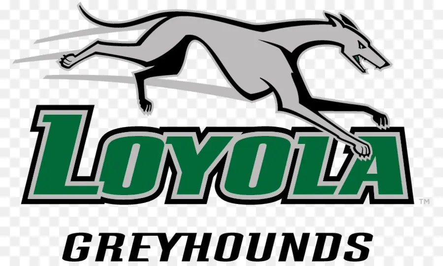 Loyola University Maryland，Loyola Galgos Del Baloncesto De Los Hombres PNG