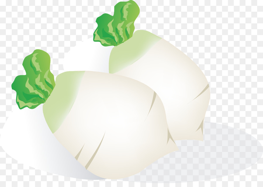 Vegetal，Daikon PNG