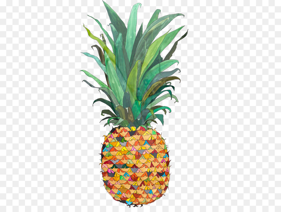 Piña，Dibujo PNG