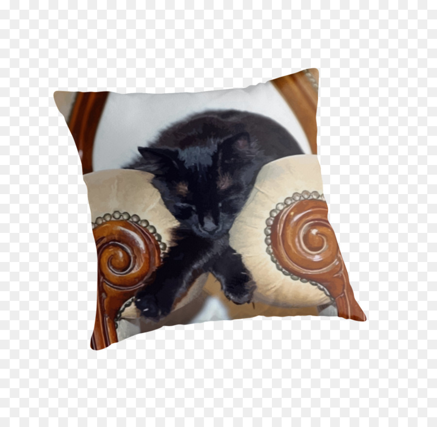 Gato，Tirar Almohadas PNG