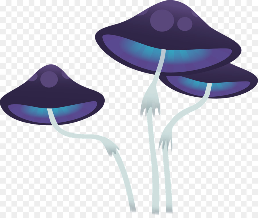 Clitocybe Acromelalga，Hongo PNG