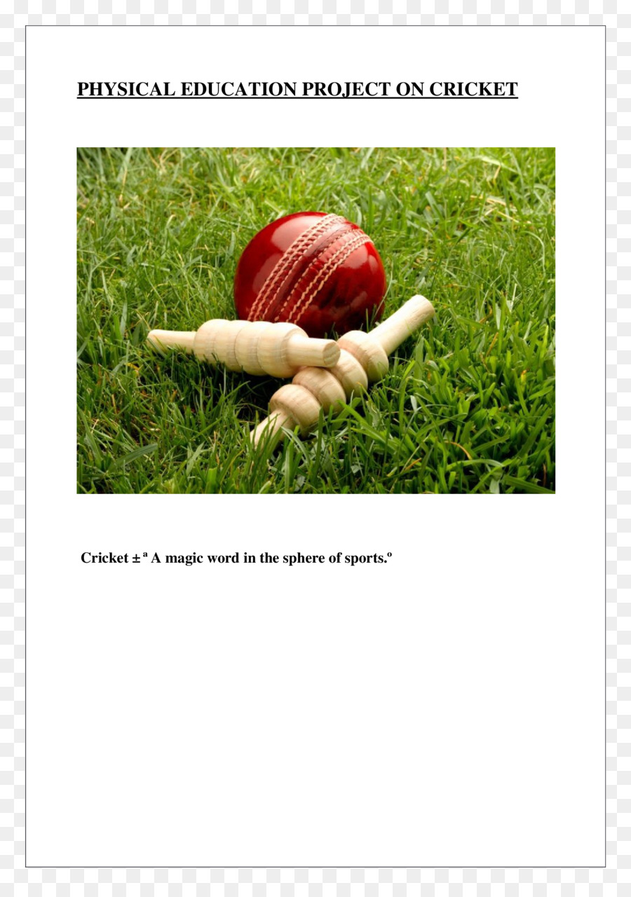 Bolas De Cricket，Grillo PNG