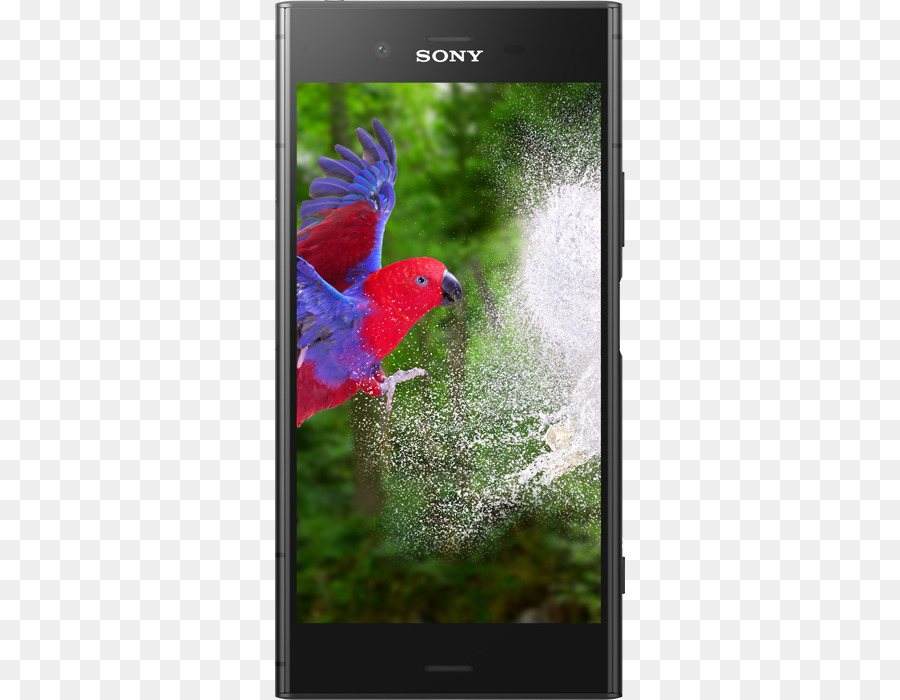 Sony Xperia Xz，Sony Xperia Xz1 Compacto PNG