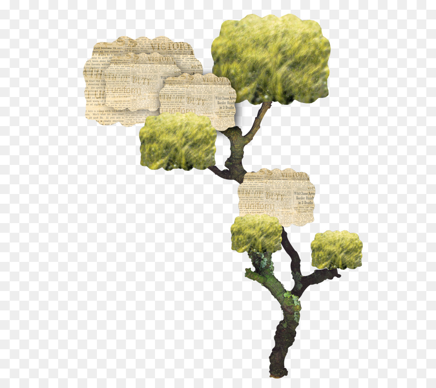 árbol，Dibujo PNG