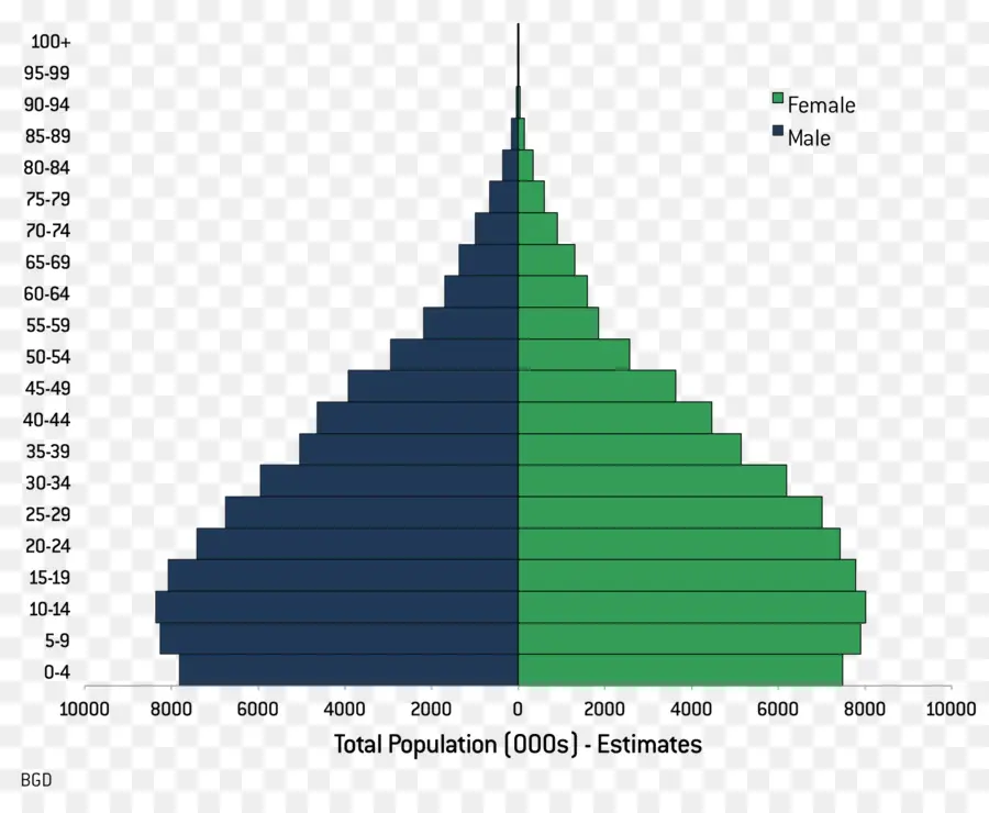 Pirámide De Población，Demografía PNG